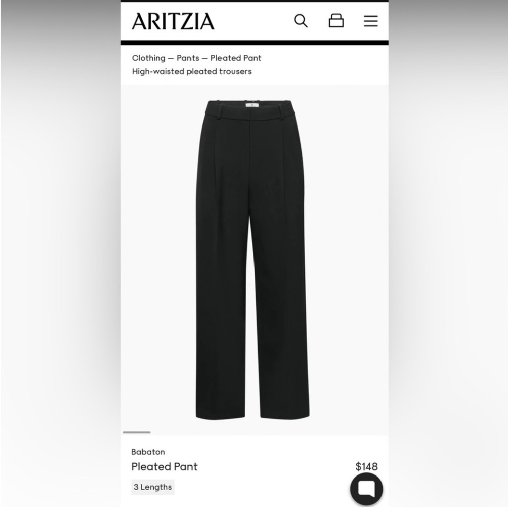 Aritzia black pleated pants
